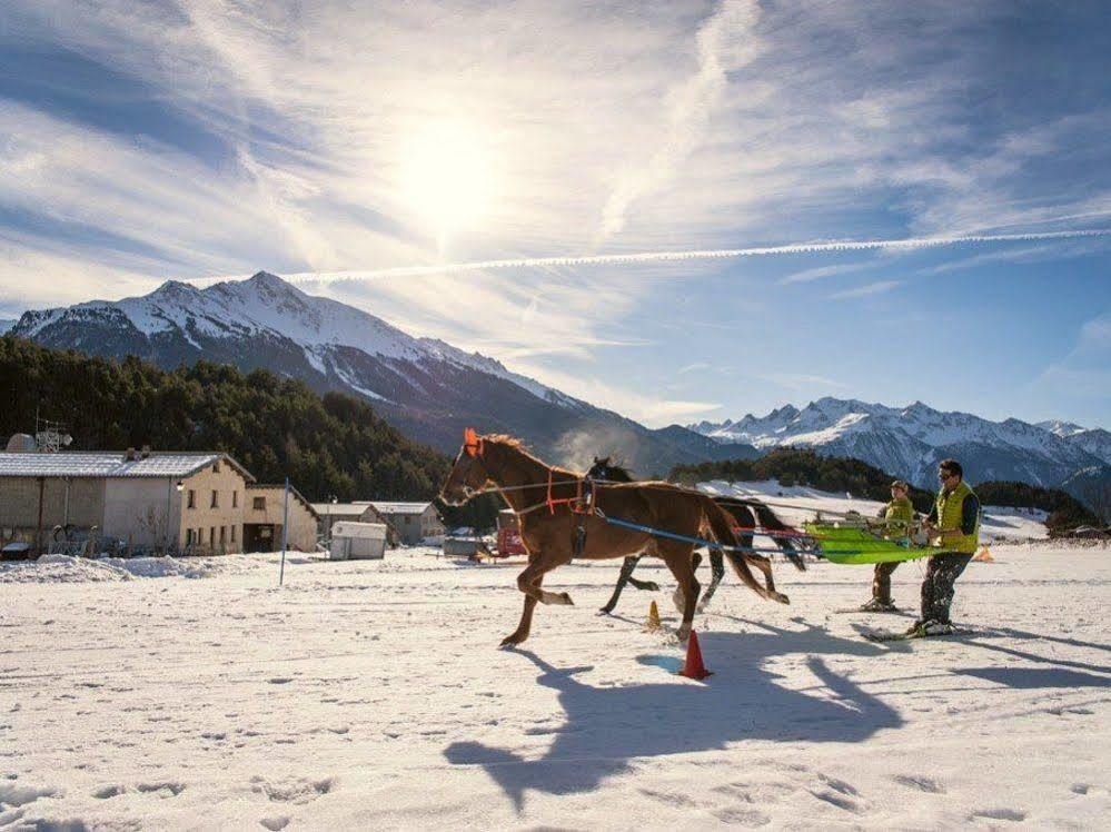 Alpina Vanoise Ex Du Soleil